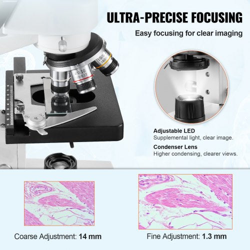 Binocular Compound Microscope 40X-2500X Two-Layer Mechanical Stage