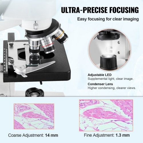 Compound Trinocular Microscope 40X-5000X Two-Layer Mechanical Stage