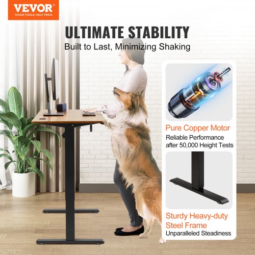 Height Adjustable Desk, 55.1 x 23.6 in, 3-Key Modes Electric Standing Desk,Whole Piece Desk Board, Sturdy Dual Metal Frame, Max. Bearing 180 LBS Computer Sit Stand up Desk, for Home and Office