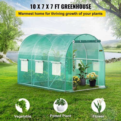 Walk-in Tunnel Greenhouse, 10 x 7 x 7 ft Portable Plant Hot House w/ Galvanized Steel Hoops, 1 Top Beam, Diagonal Poles, Zippered Door & 6 Roll-up Windows, Green