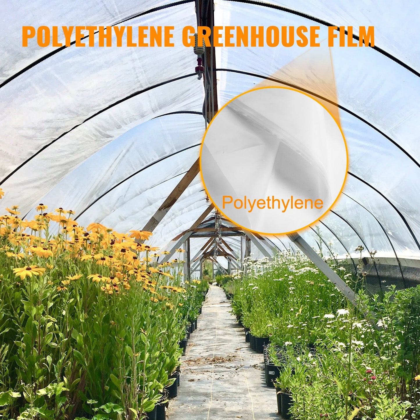 Greenhouse Film 10x25 ft,Greenhouse Polyethylene Film 6 Mil Thickness, Greenhouse Plastic Greenhouse Clear Plastic Film UV Resistant, Polyethylene Film Keep Warming, Superior Strength Toughness